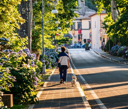 House with trees, person walking dog